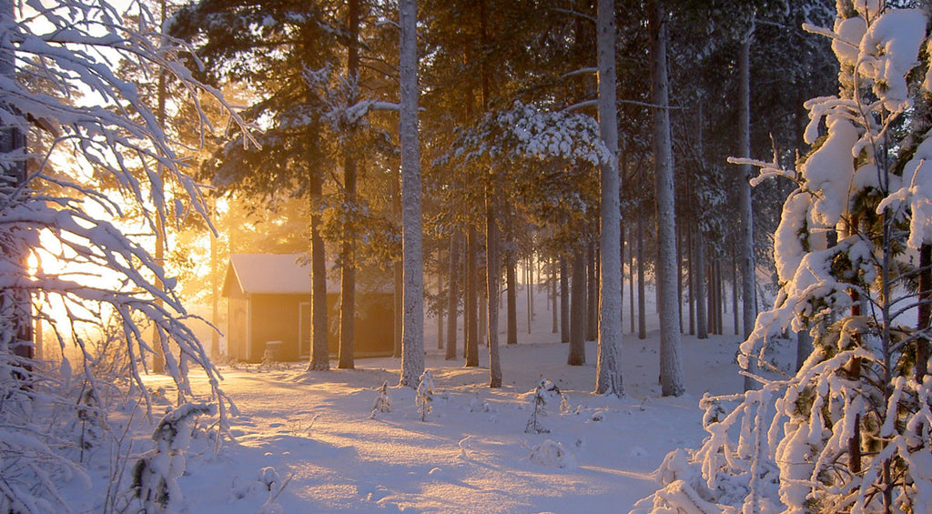 Hail the Sun of Righteousness!